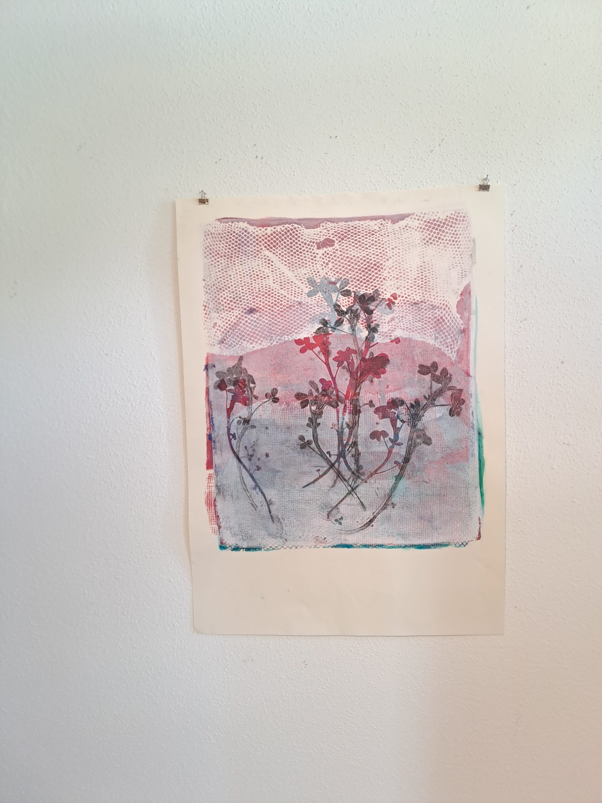 Silene im Netz - in situ