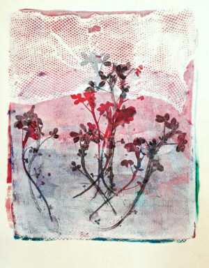 Silene im Netz-unique